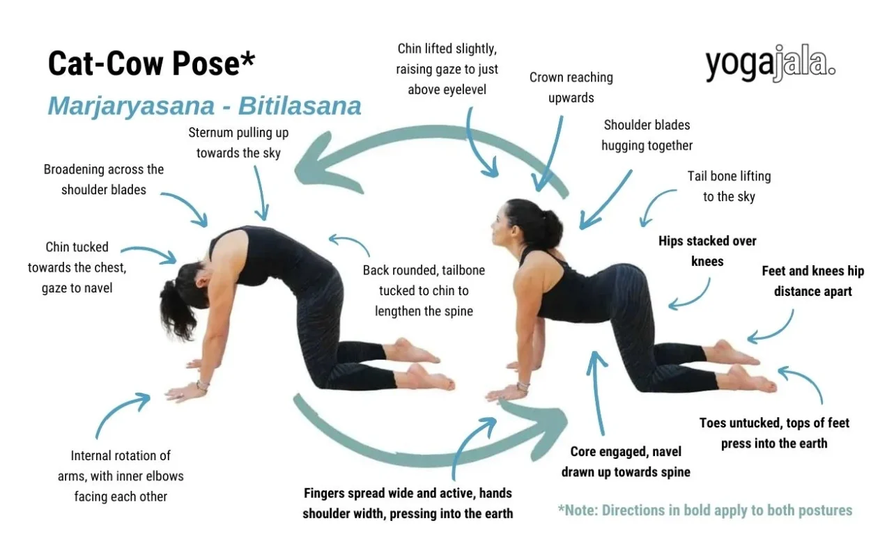 Exercises for Period Cramps