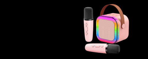 Mini Speaker With Mic