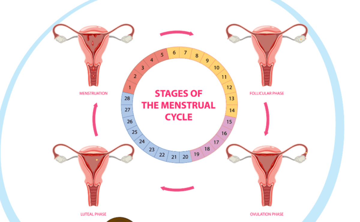 Why Periods Come Early? Causes, Hormones, Stress & When to Worry